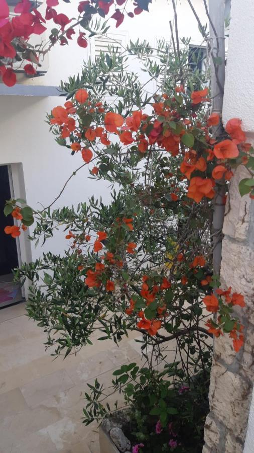 Hvar Deluxe Rooms Χβαρ Εξωτερικό φωτογραφία